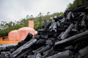 O Carvão Para Churrasco: Origem E Produção
